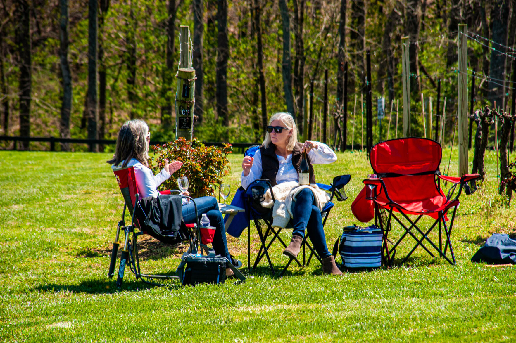 20210403-LEE_1780-Edit.jpg